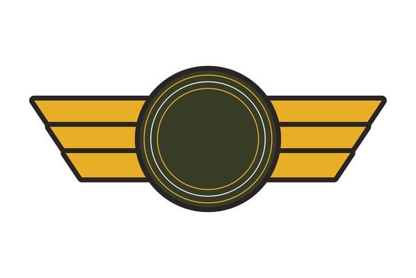 airforce emblem medal