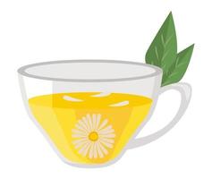 chamomile tea beverage vector