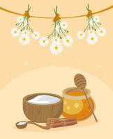 miel y remedios caseros vector
