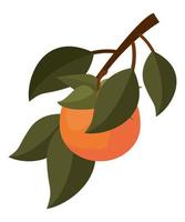 branch with orange vector