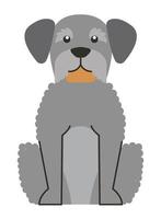 mascota del perro gris vector