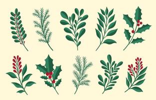 Conjunto de plantas florales navideñas.Año nuevo 2021 colección rama hoja.Decoración diseño botánico. vector