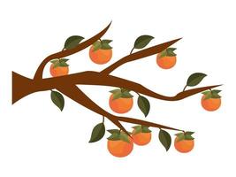 orange tree branch vector