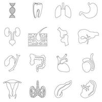 Internal organs icons set, outline style vector