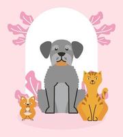 cute pets characters vector