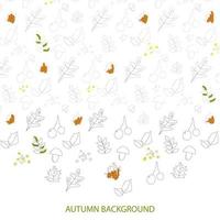 Conjunto de hojas de otoño aislado sobre fondo blanco - vector