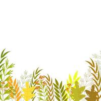 Vintage floral background, botanical web background with grass and different flowers - Vector