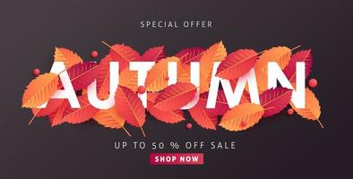 Autumn sale background layout decorate with leaves for shopping sale or promo poster and frame leaflet or web banner vector