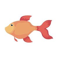 gold fish swiming vector