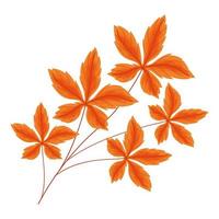 orange webbed leaves vector