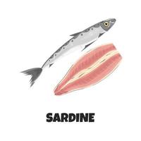 Vector Realistic Illustration of Fillet of Sardine. Concept Design of Raw Fresh Sardine Fish isolated on White Background. Illustration of Marine Animal in Cartoon Flat Style. Seafood Product