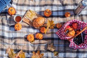picnic de otoño laicos plana