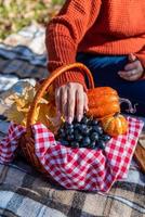 Beautiful woman in red sweater on a picnic in a autumn forest photo