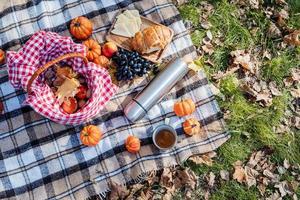 Beautiful woman in red sweater on a picnic in a autumn forest photo