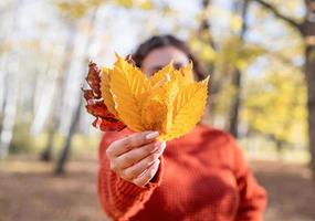 Young happy woman gathering leaves in autumn forest photo