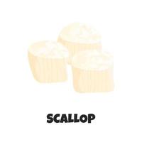 Vector Realistic Illustration of Raw Fresh Scallop isolated on White Background. Detailed Icon of Scallop in Cartoon Flat Style. Edible Marine Molluscs. Tasty Sea Products. Concept Design of Seafood