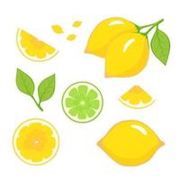 Lemon vector. Set of whole, cut in half, sliced on pieces fresh lemons, leaves, seeds. Illustration for printing, backgrounds. Vibrant juicy ripe citrus fruit collection isolated on white background. vector