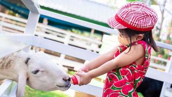 Girl wear orange cloth mask to prevent spread of COVID-19 disease. Child is touring animal farm. Happy kid feeding milk to white goat. A 4 year old is wearing a red hat that protects from the sun. photo