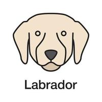 icono de color de labrador retriever. laboratorio. raza de perro guía. ilustración vectorial aislada vector