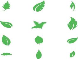 Los elementos de la hoja verde diseñan diversas formas.eps vector