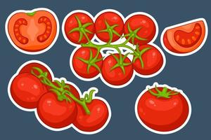 conjunto de tomates. tomates frescos, tomates en una rama, una cuña y media. vector