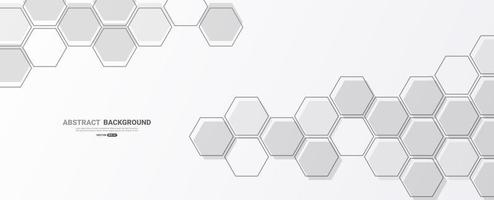 Abstract hexagon white background. vector