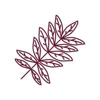 branch leaves nature vector