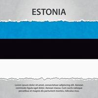 bandera de estonia en papel rasgado vector