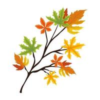 autumn webbed leaves vector