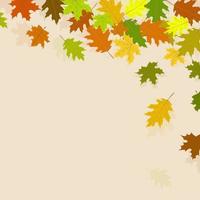 Fondo de otoño con hojas de arce cayendo amarillas y rojas - vector