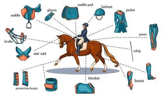 Infografía de deportes ecuestres arnés de caballos y equipo de jinete en el centro de un jinete sobre un caballo en estilo de dibujos animados vector