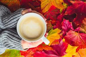 Manos femeninas en un suéter caliente sostenga una taza de café sobre un fondo de hojas de arce de colores brillantes foto