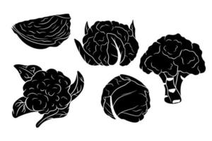 Cabbage set. Fresh cabbage, broccoli, cauliflower. vector