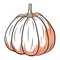 Ripe Squash Image. Autumn Food Illustration. Pumpkin sketch. Element for autumn decorative design, halloween invitation, harvest, sticker, print, logo, menu, recipe vector