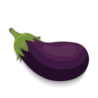 eggplant vector illustration