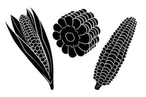 Corn set. Fresh corn cobs with and without leaves. vector