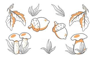 Autumn set. Collection of autumn items. Mushrooms, acorns, grass, oak leaves. vector