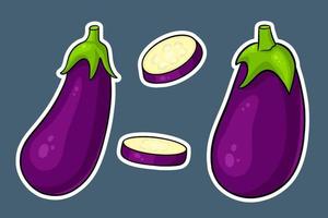 Eggplant set. Whole eggplant and cut wedges. vector