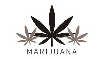 logotipo de hoja de marihuana de tres hebras, marihuana de color verde vector