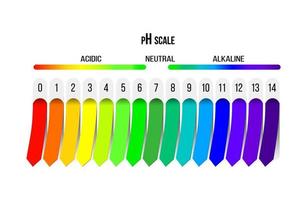 Ph scale. Indicator of acidity, alkalinity and neutral solution. Diagram for analysis, tests and infographics. Vector illustration.