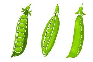 Peas set. Closed and open green pea pods. vector