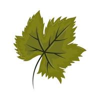 green leaf foliage vector