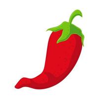 chili pepper flat icon vector