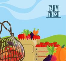 farm fresh food vector