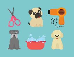 pets washing icon set vector