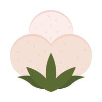 cotton isolated icon vector