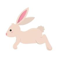 cute rabbit icon vector