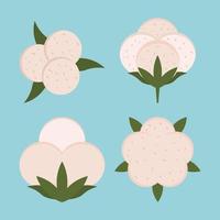 cotton flowers botanical vector