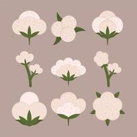 set of cotton flowers vector