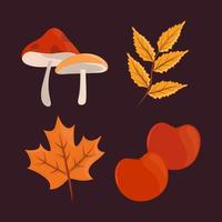 leaves apples with mushrooms vector